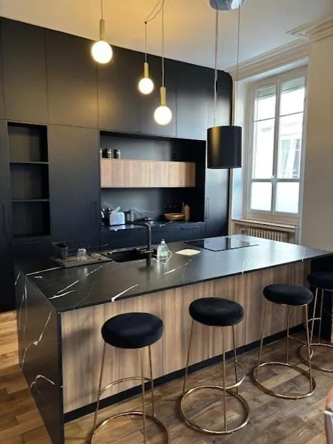 Bel Appartement Championnet - Quartier Centre Ville Grenoble